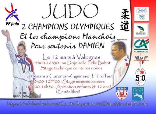Maquette Affiche Judo 2016 V2 [1024x768] [1024x768] [50%]